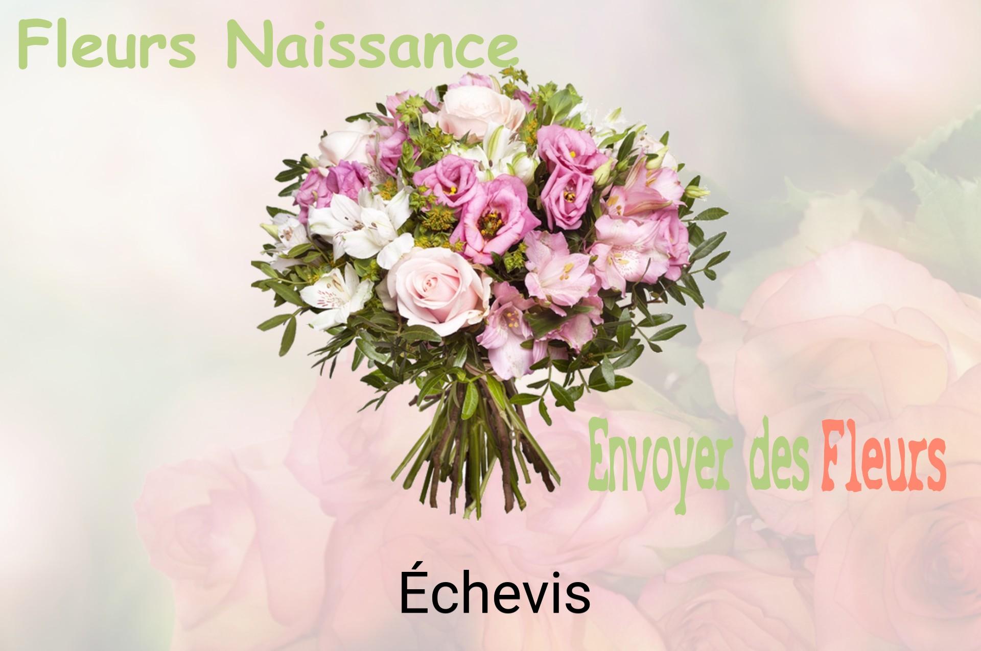 Bouquet de fleurs de naissance livré à Échevis